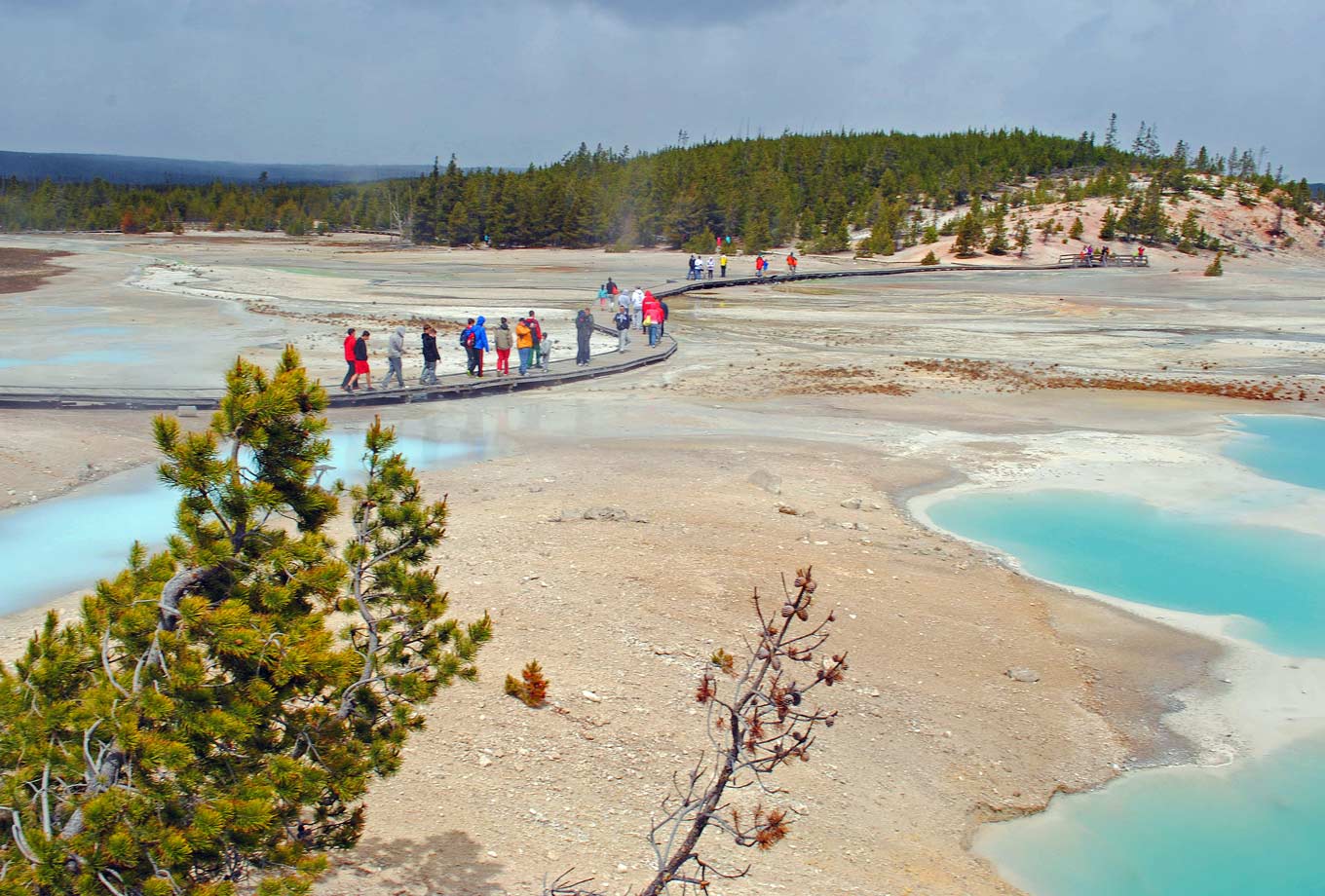 Norris Geyser Basin in Yellowstone National Park